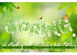 SPRINGwPSDز