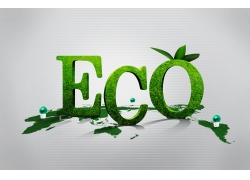 ECOGɫOӋD