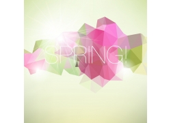 Spring(chung)D