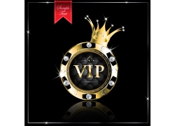 VIP@ʯˇgcʹʸز