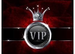 VIP@ʯcʹʸز