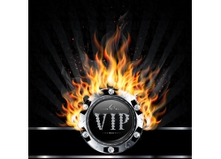 VIP@ʯˇg(sh)cʸز