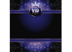 VIPTy