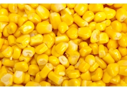 Sweet Corn (6)